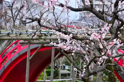 亀戸天神社(東京都)