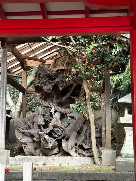 赤間神宮(山口県)