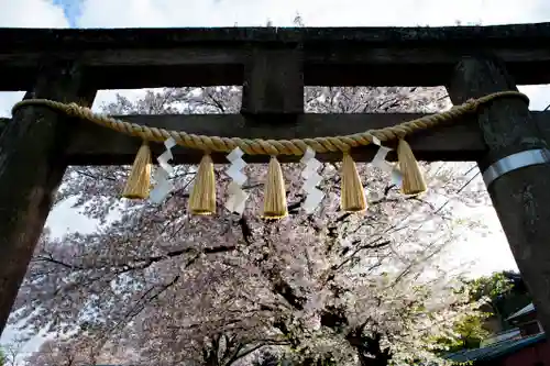 前玉神社の鳥居