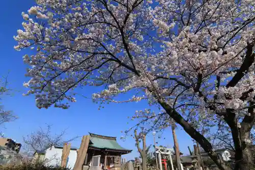 熊野福藏神社の庭園