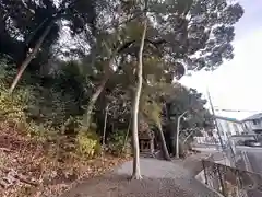 龍王神社(奈良県)