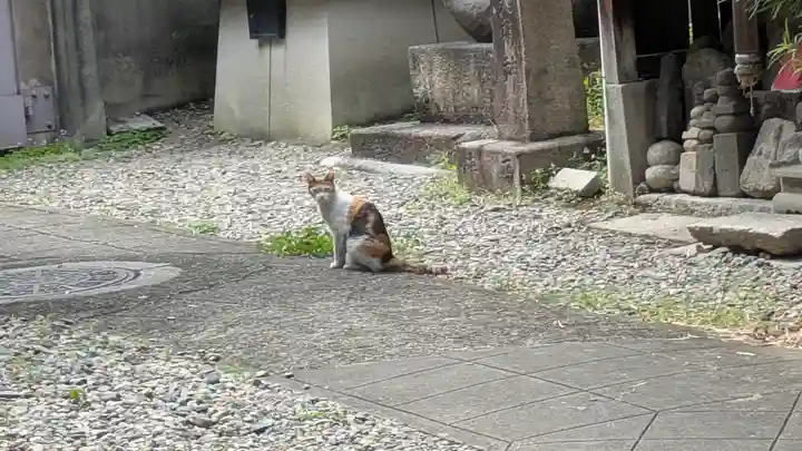 行願寺(革堂)(京都府)