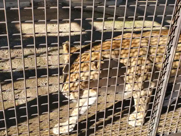 鑁阿寺(栃木県)