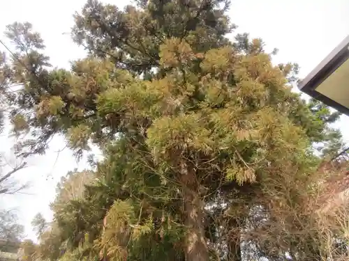 日吉東照宮(滋賀県)