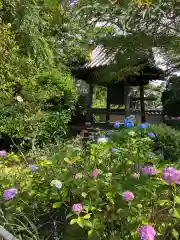 資福禅寺の庭園