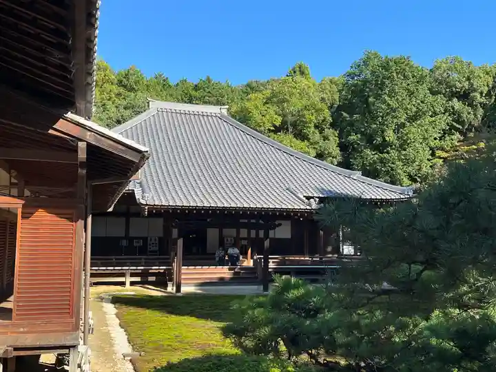 隨心院(随心院)(京都府)