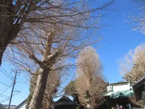 走湯神社(神奈川県)