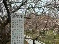 仁和寺(京都府)