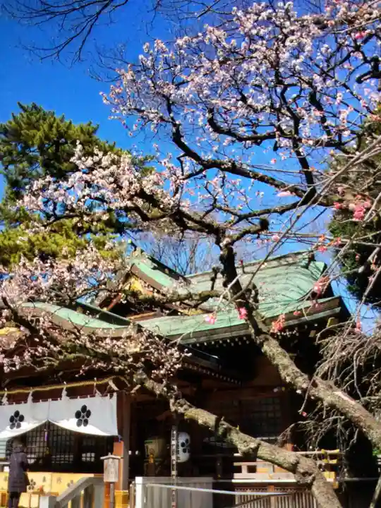布多天神社(東京都)