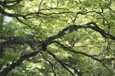 高野山金剛峯寺(和歌山県)
