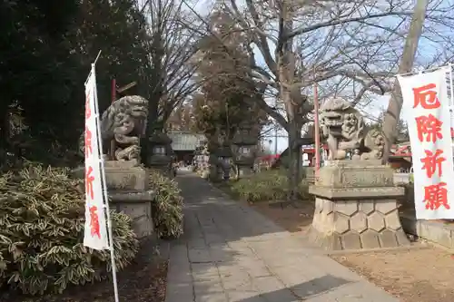 神炊館神社 ⁂奥州須賀川総鎮守⁂の狛犬