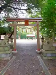 山崎神社の鳥居