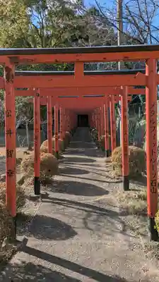 鳥居川御霊神社(滋賀県)
