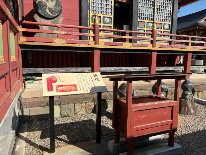 大杉神社(茨城県)