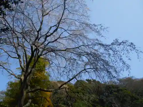 安國論寺（安国論寺）の景色