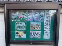 安井念佛寺(念仏寺)(京都府)