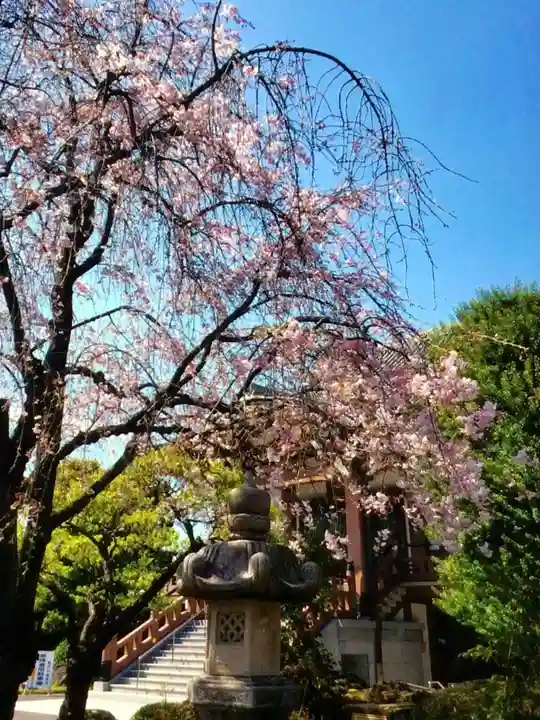 最勝寺(東京都)