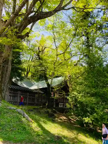 諏訪大社上社前宮(長野県)