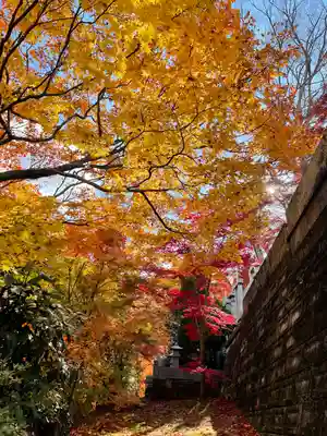永源寺(茨城県)
