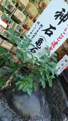 野宮神社(京都府)