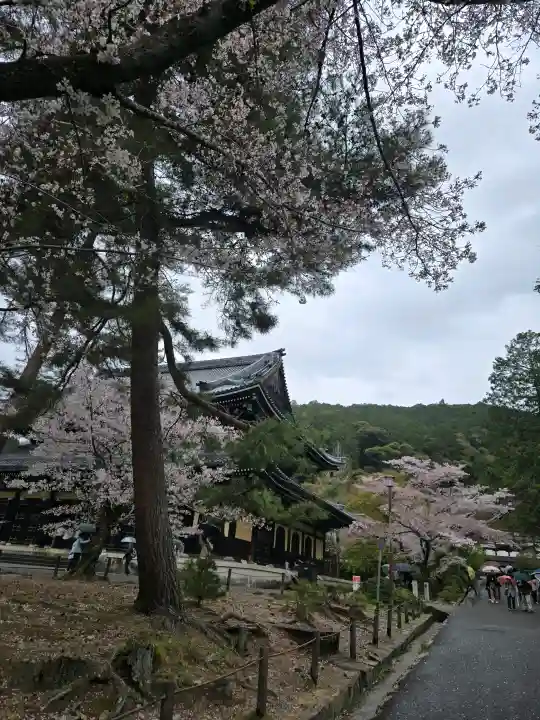 南禅寺の{uncategorized: "未分類", other: "その他", undefined: "問題あり", building: "その他建物", grave: "お墓", sacred_gate: "鳥居", guardian: "狛犬", statue: "像", buddha: "仏像", history: "歴史", nature: "自然", garden: "庭園", animal: "動物", pagoda: "塔", temizu: "手水舎", mountain_gate: "山門・神門", sanctuary: "本殿・本堂", subordinate: "末社・摂社", art: "芸術", scenery: "景色", jizo: "地蔵", ema: "絵馬", goshuin: "御朱印", omikuji: "おみくじ", items: "授与品その他", amulet: "お守り", goshuincho: "御朱印帳", eats: "食事", festival: "お祭り", votive_dance: "神楽", shichigosan: "七五三参", wedding: "結婚式", experience: "体験その他", initially: "初詣", around: "周辺", anti_infection: "感染症対策"}
