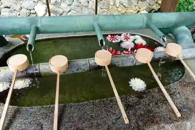 岡寺（龍蓋寺）の手水舎