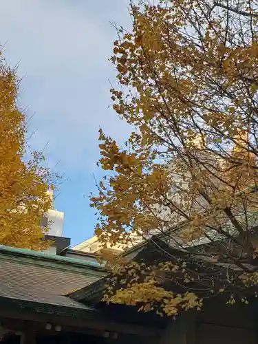 銀杏岡八幡神社の自然