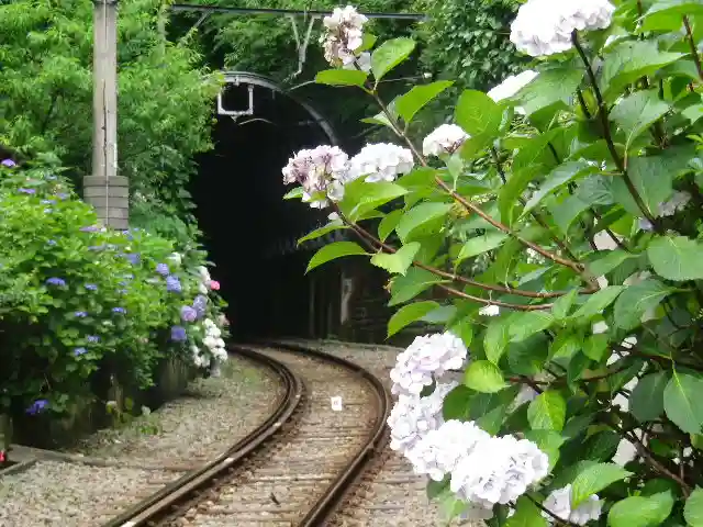 御霊神社の周辺