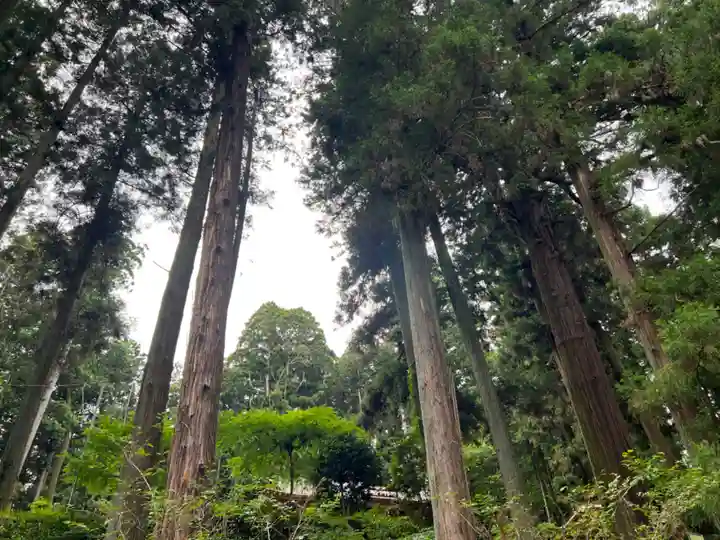 大宮温泉神社(栃木県)