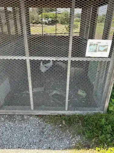 武蔵國八海山神社(埼玉県)