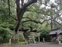 事任八幡宮のその他建物