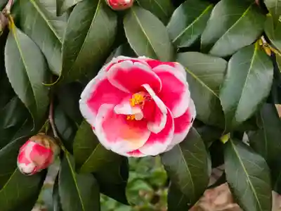円照寺(兵庫県)