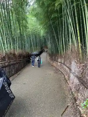 野宮神社(京都府)