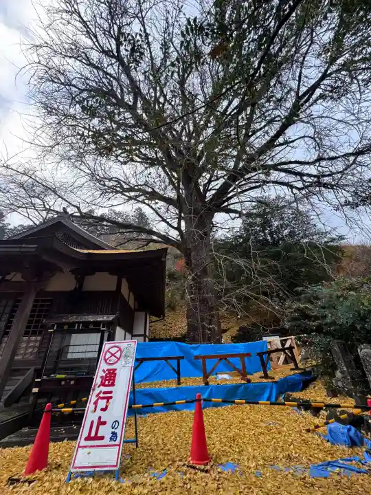 来迎院(奈良県)