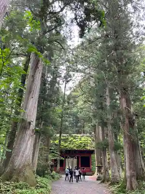 戸隠神社奥社(長野県)