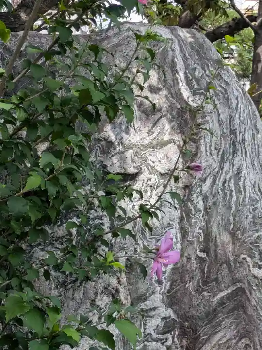 妙法寺(東京都)