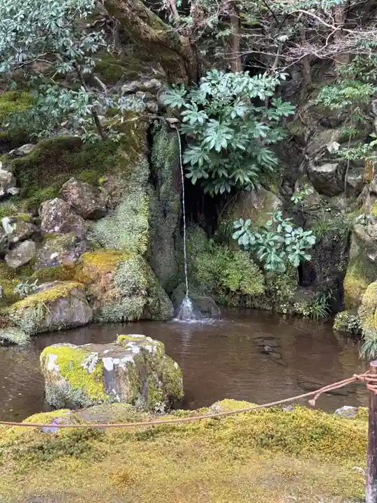 慈照寺(慈照禅寺・銀閣寺)(京都府)