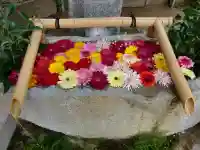 田間神社の手水舎