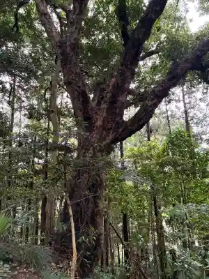 新宮素鵞神社(茨城県)