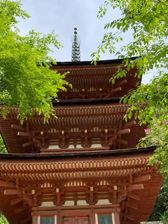 浄瑠璃寺(京都府)