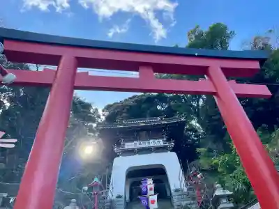 江島神社の初詣