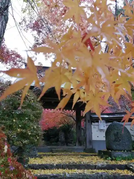 薬王寺の山門・神門