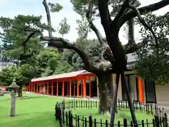 浜松秋葉神社の自然