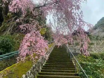 慈雲寺の{uncategorized: "未分類", other: "その他", undefined: "問題あり", building: "その他建物", grave: "お墓", sacred_gate: "鳥居", guardian: "狛犬", statue: "像", buddha: "仏像", history: "歴史", nature: "自然", garden: "庭園", animal: "動物", pagoda: "塔", temizu: "手水舎", mountain_gate: "山門・神門", sanctuary: "本殿・本堂", subordinate: "末社・摂社", art: "芸術", scenery: "景色", jizo: "地蔵", ema: "絵馬", goshuin: "御朱印", omikuji: "おみくじ", items: "授与品その他", amulet: "お守り", goshuincho: "御朱印帳", eats: "食事", festival: "お祭り", votive_dance: "神楽", shichigosan: "七五三参", wedding: "結婚式", experience: "体験その他", initially: "初詣", around: "周辺", anti_infection: "感染症対策"}