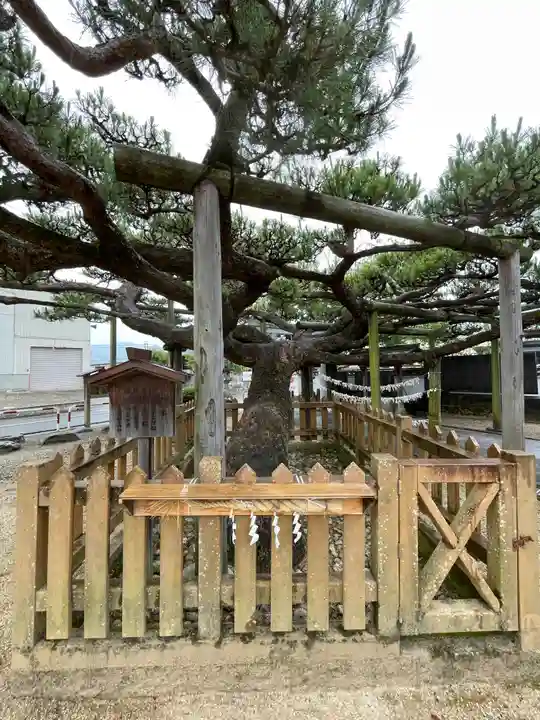 名古曽蛭子神社の自然