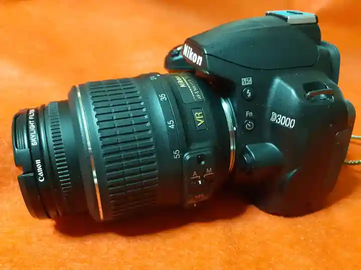 川崎大師(平間寺)(神奈川県)