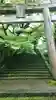 養父神社の鳥居