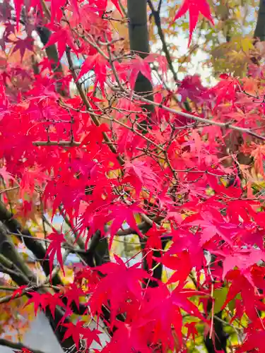 天龍寺(京都府)