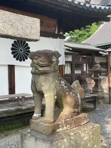 泉穴師神社の狛犬