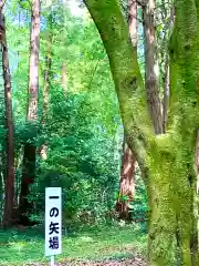 日枝神社(茨城県)